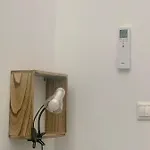 Puerta De 1 * Caces