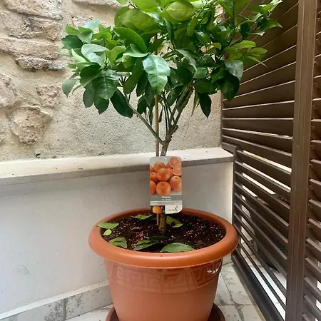 Puerta De 1 Appartement Caces