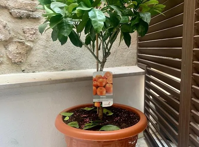 Puerta De 1 Lägenhet Caces